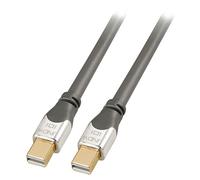 Lindy 36307 cable displayport 2 m mini displayport gris