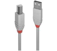 Lindy 36681 - Cable USB 2.0 (tipo A a B, 0,5 m), Color gris