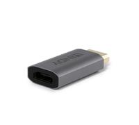 Lindy 41095 cambiador de género para cable DisplayPort HDMI Type A Gris