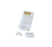 Lindy RJ-45 Connector - Conector para RJ45 (10 Unidades), Transparente