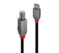 LINDY Cable USB C a USB B 36942 Negro 2 m