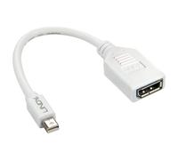 Lindy Kabel / Adapter mini-DP DP Blanco - Adaptador para cable (mini-DP, DP, Mal