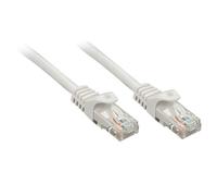 Lindy - Rj45/Rj45 Cat6 0.3m cable de red Gris 0,3 m U/UTP (UTP)
