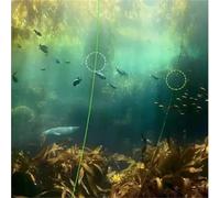 Línea de Pesca con Manchas Línea de Pesca Invisible 220 m, línea fluorocarbono for Carpa moteada, súper Fuerte, con Mosca Nailon Que se Hunde para Río(8.0-0.470mm-36lb)