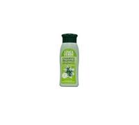 CHAMPU USO FRECUENTE HIERBABUENA 400 ML LINEA VERDE