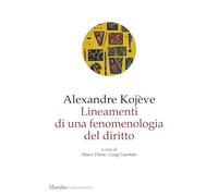 Lineamenti di una fenomenologia del diritto (Firmamenti)