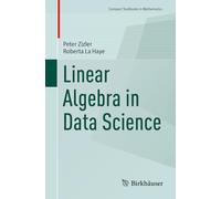 Linear Algebra in Data Science (Compact Textbooks in Mathematics)