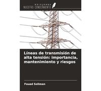 Líneas de transmisión de alta tensión: importancia, mantenimiento y riesgos