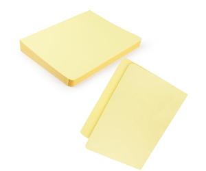 Lineco Colored File Folder