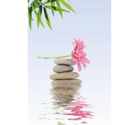 Lined Journal Notebook For Women, Men, And Children: 140 Pages, College Ruled For Work, School Or Diary, Inspirational Quotes And Zen Inspired Background Images