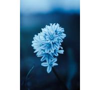Lined Notebok White Flower: Soft Cover 100 Page Simple Wrtiting Diary