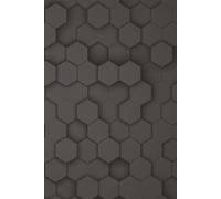 Lined Notebook - 120 Pages | 6 x 9 inch | Gray Hexagon Cover | Stylish Writing Journal for Thoughts, Ideas & Everyday Use: Ideal for note-taking, ... whatever you like to on the go. Ideal as gift