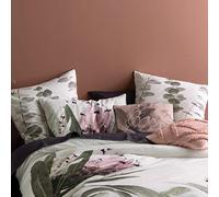 Linen House Alice - Juego de Fundas de Almohada, Multicolor, 50 x 75 cm | Proteínas fotográficas de grandiflora en tonos apagados sobre algodón marfil, invertida a rosa pétalo con ribetes de cordón