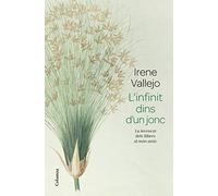 L Infinit Dins D Un Jonc. La Invenció Dels Llibres Al Món Antic
