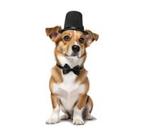 Ling & Bai Conjunto de disfraz formal para mascotas, 2 piezas, sombrero con corbata, gato, caballero, corbatín, traje para boda, fiesta de cumpleaños (negro)