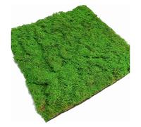 LINGDSWULING Alfombra De Musgo Artificial para Césped Simulación De Fondo De Planta De Pared Interior Verde Bryophyte Manta Sin Deslizamiento para Jardín Y Hogar,(A)