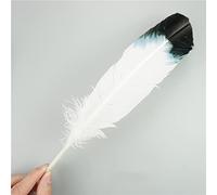 LINGP 10 unids/Lote de Plumas de águila Naturales para Manualidades, Accesorios para tocados, decoración de Vacaciones, Pluma de Carnaval, decoración Artesanal DIY