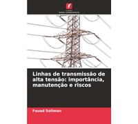 Linhas de transmissão de alta tensão: importância, manutenção e riscos