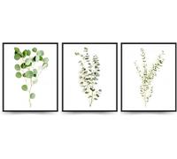 Linilioart Juego de 3 pósteres de hojas de eucalipto verde salvia para baño, sin marco (50 x 70 cm)