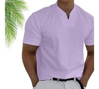 Lininco Mens Shirts, Braylen Stylish T-Shirt, High Stretch Slim Fit V Neck Solid Color Quick Dry (M,Purple)
