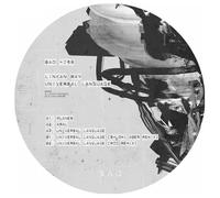 Linkan Ray - Universal Language (Inc Shlomi Aber & ROD remixes)