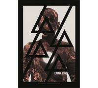 Linkin Park Bandera para póster de Burn it Down
