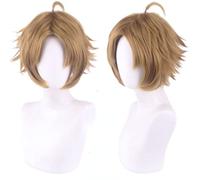 LINLINCD - Anime Coser Anime Anime Cosplay peluca desempleada reencarnación Rudeus Greyrat peluca corta marrón con gorro de peluca gratis para la peluca diaria de cosplay de Halloween