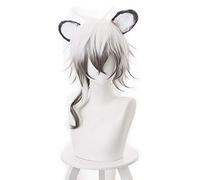 LINLINCD - Anime Coser Wig Game Arnights Gladiia Cosplay peluca larga recta azul azul claro peluca gris pelo sintético Halloween fiesta Navidad (diseño: Sliverash)