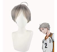 LINLINCD - Anime Coser Wig Haikyuu! Sugawara Koushi Unisex Corto Gris Cosplay Pelucas Shaggy Mujeres Hombre Hombre Disfraz Peluca Pelo Sintético Resistente al Calor