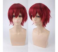 LINLINCD - Anime Coser Wig Haikyuuu! Voleibol Toru Okawa Toor Shorts Brown Shaggy Cosplay Cosplay Cosplay resistente al calor peluca NO
