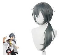 LINLINCD Anime Cosplay Peluca Niki Shiina Cosplay Ensemble Estrellas Cosplay Hombres Peluca Gris Cosplay Anime Cosplay Pelucas sintéticas resistentes al calor