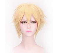 LINLINCD Cosplay peluca de mariquita Cosplay pelucas azul oscuro Cosplay peluca resistente al calor pelo sintético para mujeres niñas pelucas de gato negro