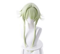 LINLINCD Cosplay wig Anime Goblin Slayer Alto Elfo Arquero Yousei Yunde Verde Peluca Larga Cosplay Disfraz Pelo Sintético Resistente al Calor Mujeres Cosplay Pelucas