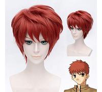 LINLINCD Cosplay wig destino/estancia noche Emiya Shirou rojo Cosplay pelucas para hombre niño corto pelo liso peluca resistente al calor pelo sintético anime fiesta re