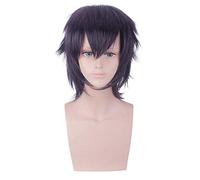 LINLINCD Cosplay wig JoJos extraña aventura Ghirga Narancia Cosplay pelucas 30 cm corto liso pelo sintético negro púrpura mixto Anime peluca para hombre Ghirga Narancia