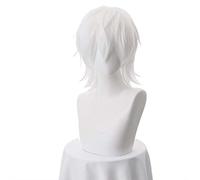 LINLINCD Cosplay wig Toaru Majutsu No Index Accelerator Cosplay Peluca para Hombres Niños 30 cm Corta Peluca Recta Anime Peluca Pelo Sintético Resistente al Calor Blanco Talla Única Blanco