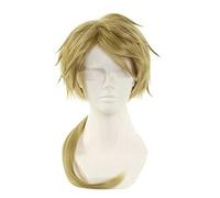 LINLINCD - Peluca de anime cosplay de anime, Bungo Stray Dogs, Cosplay, Kunikida, dopo, peluca verde, disfraz de Halloween, fiesta de disfraces, conciertos