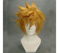 LINLINCD - Peluca de anime cosplay KEEBON Kingdom Hearts Roxas Peluca Ventus Cosplay Peluca 30 cm Corto Pelo Sintético Liso Hombre Juego Anime Disfraz Fiesta Peluca Regalo Dorado