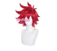 LINLINCD Peluca de Anime Cosplay SK8 El Infinity Reki Cosplay Unisex Corto 33 cm Peluca Roja Cosplay Anime Cosplay Pelucas sintéticas resistentes al calor Halloween