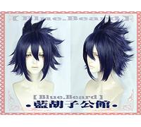 LINLINCD -Wig Anime Cosplay () My Heroes Academy Tianzhu Luan Blue Purple Fonds COS Animation Edition