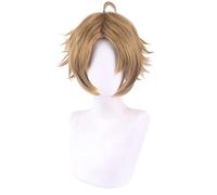 LINLINCD -Wig Anime Cosplay Rudeus Greyrat Cosplay Anime Jobless Reincarnation Mushoku Tensei Role Playing Costumes for Halloween Short Brown Synthetic Wig