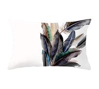 Lino Funda para Cojín Silla Fundas Almohada Cuadradas Blanco Funda Cojín Asiento Sofa Funda De Almohada Matrimonio Pluma Fundas para Cojines 30x50 cm