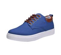 LinRim Zapatillas informales de lona para hombre, estilo clásico, zapatos casuales, cómodos, para patinar, zapatos de skate bajos, transpirables, ligeros, antideslizantes, zapatillas deportivas, azul