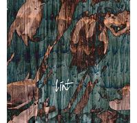 Lint - Then They Came for Us [VINYL] [Vinilo]