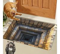 Liocwocne 2026 New Optical Illusion Rug, 3D Rugs Illusion, Rug That Looks Like A Hole for Indoor and Outdoor Entrance, Startled Cats and Dogs, They Backed Away(L,60 * 90cm)