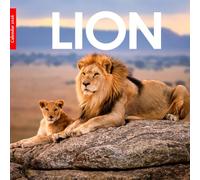 Lion 2026 Calendar: Majestic Lions in Stunning Wildlife Photography - A Year of Strength, Power, and African Beauty