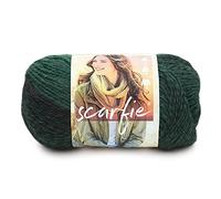 Lion Brand 826-202 Yarn, Hilo Scarfie, Bosque/Negro, Materiales sintéticos, 23.59x12.79x13.43 cm, 285