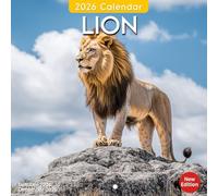 Lion Calendar 2026: Majestic big cats shown through powerful portraits