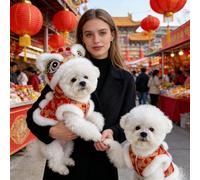 Lion Dance Costume For Dog Or Cat - Winter Puppy Clothes | Lunar New Year Dog Outfits For Pet Parents Animal Lovers Chinese New Year Themed Party Photographer Celebration Park Lawn Garden