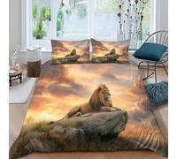 Lion Lying on The Rock Juego De Cama Impresión En 3D,para Funda Nórdica con Cremallera,Fundas De Almohada Suave Transpirable para Niñas Y Niños Double（200x200cm）